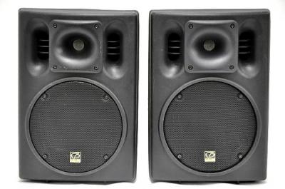 Classic Pro CSP8 フルレンジスピーカー ペア 8inch 本体のみ