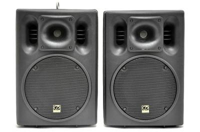 Classic Pro CSP8 フルレンジスピーカー ペア 8inch 本体のみ オーディオ