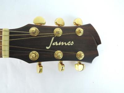 James ジェームス JE100NS エレアコ ハイエンドモデル　ギター James JE100NS(アコースティックギター)の新品/中古販売