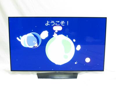 LG エルジー OLED55B6P 有機ELテレビ 55V型