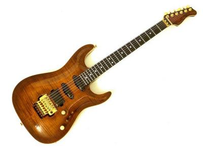 VALLEY ARTS Custom Pro USA エレキギター EMG
