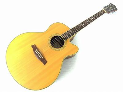 Ibanez AEL12ERLG1201