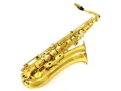 YANAGISAWA ヤナギサワ 哀しい アルトサックス prima 300