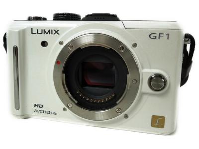 Panasonic パナソニック LUMIX DMC-GF1 カメラ ミラーレス一眼 ボディ G VARIO 3.5-5.6 14-45mm レンズ