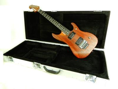 washburn N4E/PNM 94年 エレキ ギター ハードケース付