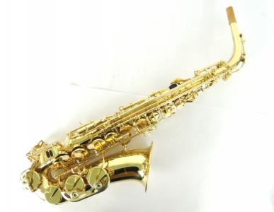 初心者オススメ アルトサックス MAVIS SELMER S80マウスピース付 初心者オススメ アルトサックス MAVIS SELMER S80マウスピース付