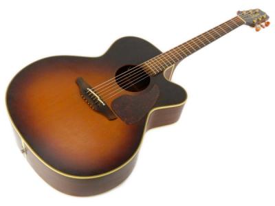 Takamine NPT-012BS エレアコ ギター ケース付き