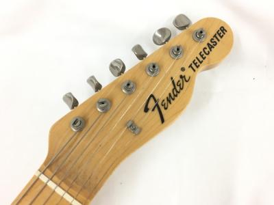 Fender Japan Telecaster thinline TN69 MH (エレキギター)の新品/中古