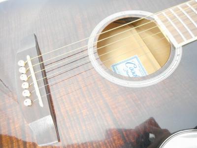 TAKAMINE TCP-450VTS(アコースティックギター)の新品/中古販売