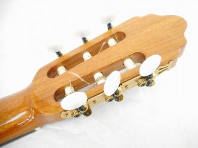 Valencia Custom CG50(アコースティックギター)の新品/中古販売