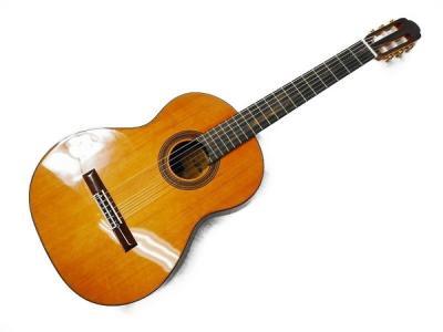 Aria A-50C アコースティックギター ケース付