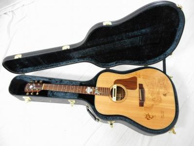 Martin DCX-1E エレアコ ギター 【ケース付き】 Martin DCX-1E エレアコ ギター 【ケース付き】