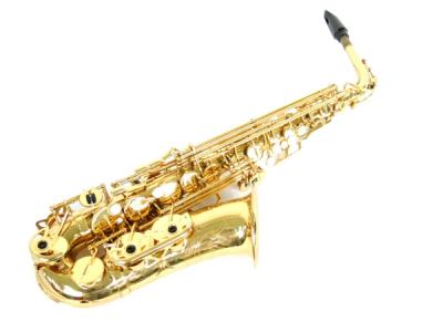 Yanagisawa ヤナギサワ A-500 アルトサックス 管楽器 楽器