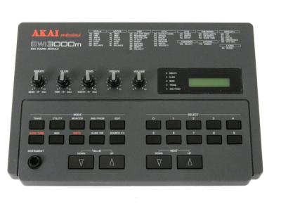 新しいブランド AKAI EWI3000 EWI3000m(DTM、DAW)の新品/中古販売 | 1368416 DTM・DAW