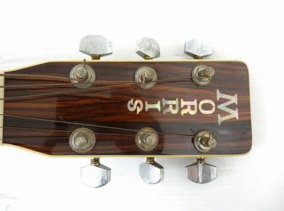 MORRIS MF-212(アコースティックギター)の新品/中古販売 | 1368834