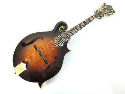 THE KASUGA F-10(弦楽器)の新品/中古販売 | 1374884 | ReRe[リリ]