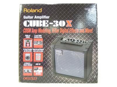 Roland ギターアンプ CUBE-30X 30W 楽器 音響 エレキ