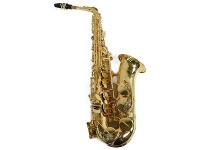 Yanagisawa ヤナギサワ A-WO1 アルトサックス ラッカー 仕上げ ケース付き