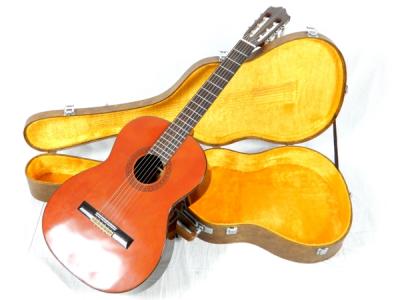 Morris M-20(ギター)の新品/中古販売 | 1405390 | ReRe[リリ]