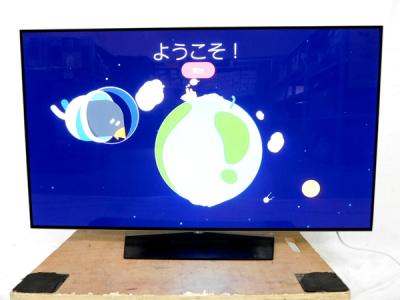 LG エルジー OLED55B6P 有機ELテレビ 55V型