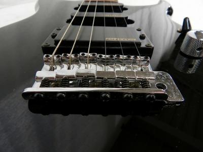Fernandes フェルナンデス エレキギター ストラトキャスタータイプ ブラック ベース の新品 中古販売 Rere リリ