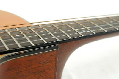 Morris RA655P(アコースティックギター)の新品/中古販売 | 1418477