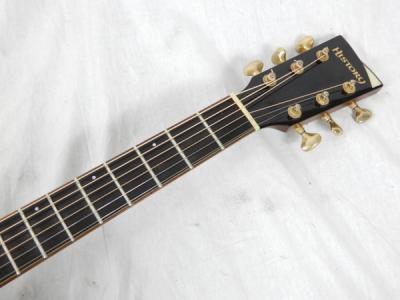 アコースティックギター■ヒストリー History■NT-101■ジャンク■
