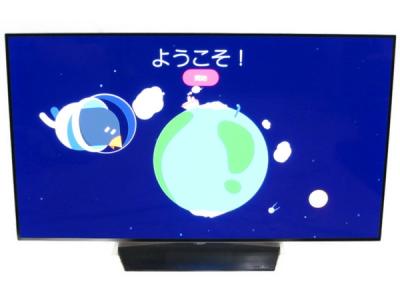 LG エルジー OLED55B6P 有機ELテレビ 55V型