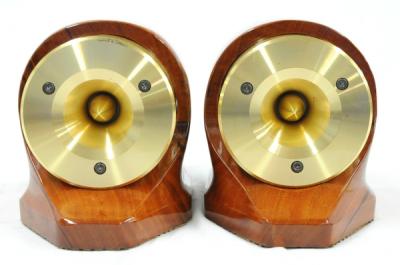 FOSTEX フォステックス T500a mk2 ホーンツイーター ペア スピーカー