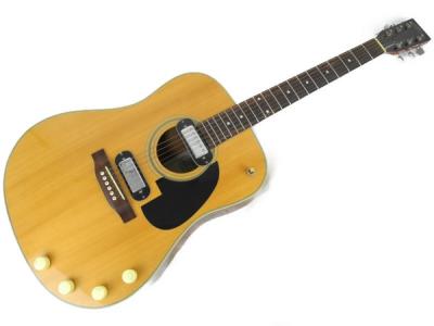 Safford & Co. アコースティックギター Safford & Co. アコースティックギター