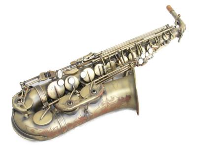 超お買い得 Maxtone アルトサックス 管楽器 Luhacovice Cz