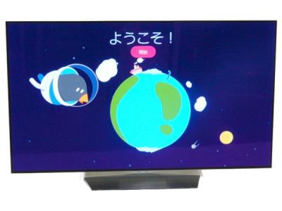 LG エルジー OLED55B6P 有機ELテレビ 55V型
