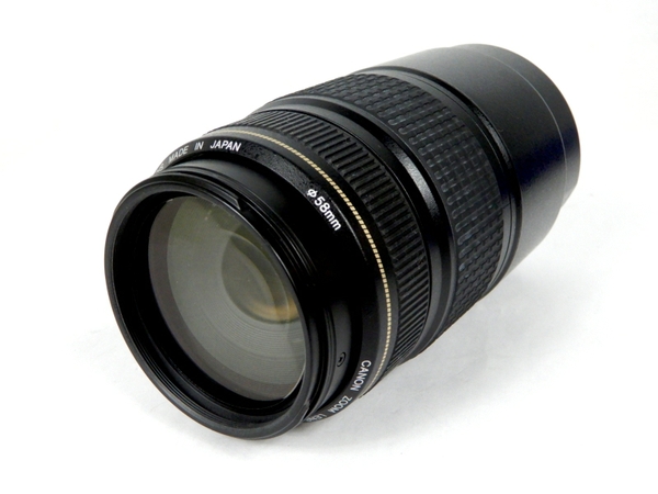 Canon EF 75-300mm F4-5.6 IS USM(レンズ)-