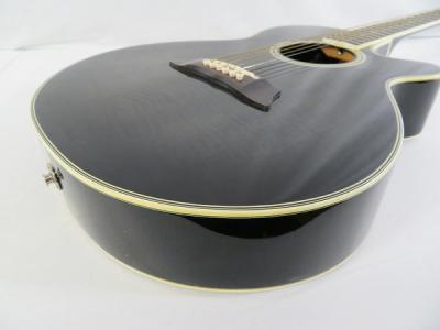 Takamine NPT-110-6(アコースティックギター)の新品/中古販売