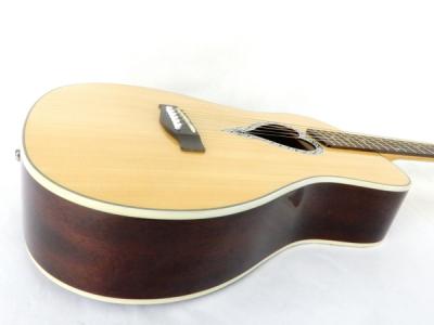 Trio Malibu NAT Spruce アコースティックギター