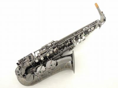 Festi A1800BB(アルトサックス)の新品/中古販売 | 1440324