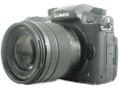 Panasonic GH5 LUMIX G DC-GH5M-K 標準ズームレンズキット G VARIO 12-60mm/F3.5-5.6 H-F デジタルカメラ