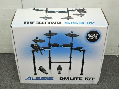 Alesis Dm-10 中古 : Alesis ãƒ‰ãƒ©ãƒ ã ®å€¤æ®µã ¨ä¾¡æ ¼æŽ ...