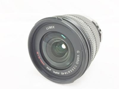 Panasonic LUMIX G VARIO 14-45 1:3.5-5.6 ASPH レンズ 写真 撮影