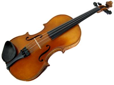 大切な人へのギフト探し Hofner Karl カールヘフナー バイオリン まちがえ 4/4 KH191 その他