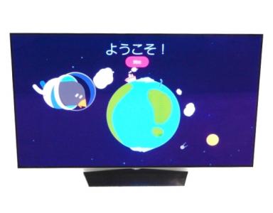 LG エルジー OLED55B6P 有機ELテレビ 55V型