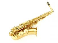 AMATI KRASLICE AAS32 アルトサックス 木管楽器 吹奏楽 演奏