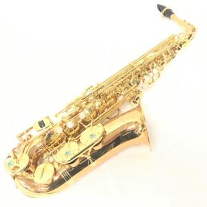YANAGISAWA ヤナギサワ WO2 アルト サックス 管楽器 ケース マウスピース リガチャ 付 楽器
