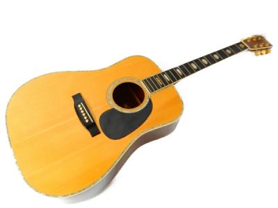 HeadWay ヘッドウェイ HD-110 ハードケース付 アコースティック ギター
