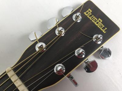 BLUEBELL W-250(アコースティックギター)の新品/中古販売