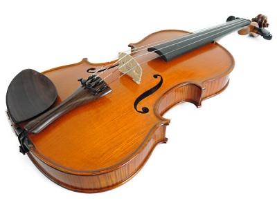 グリガ社 GLIGA VASILE gama 2(バイオリン)の新品/中古販売 | 1464182 | ReRe[リリ]