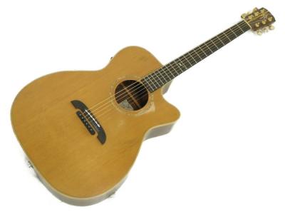 K.Yairi WEIR-1E(アコースティックギター)の新品/中古販売 | 1465503 ...