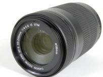 Canon EF-S 55-250mm 4-5.6 IS STM 一眼レフ カメラ レンズ