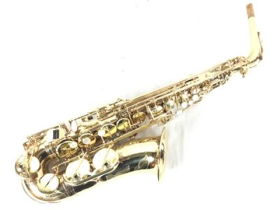 訳あり SELMER アルトサックス SuperAction 80 SERIE2 SA80II