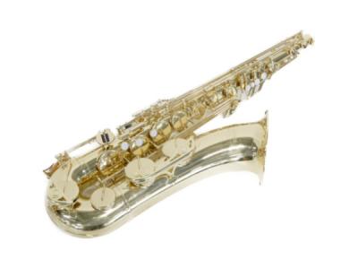 YAMAHA YTS-24II(サックス)の新品/中古販売 | 1397940 | ReRe[リリ]